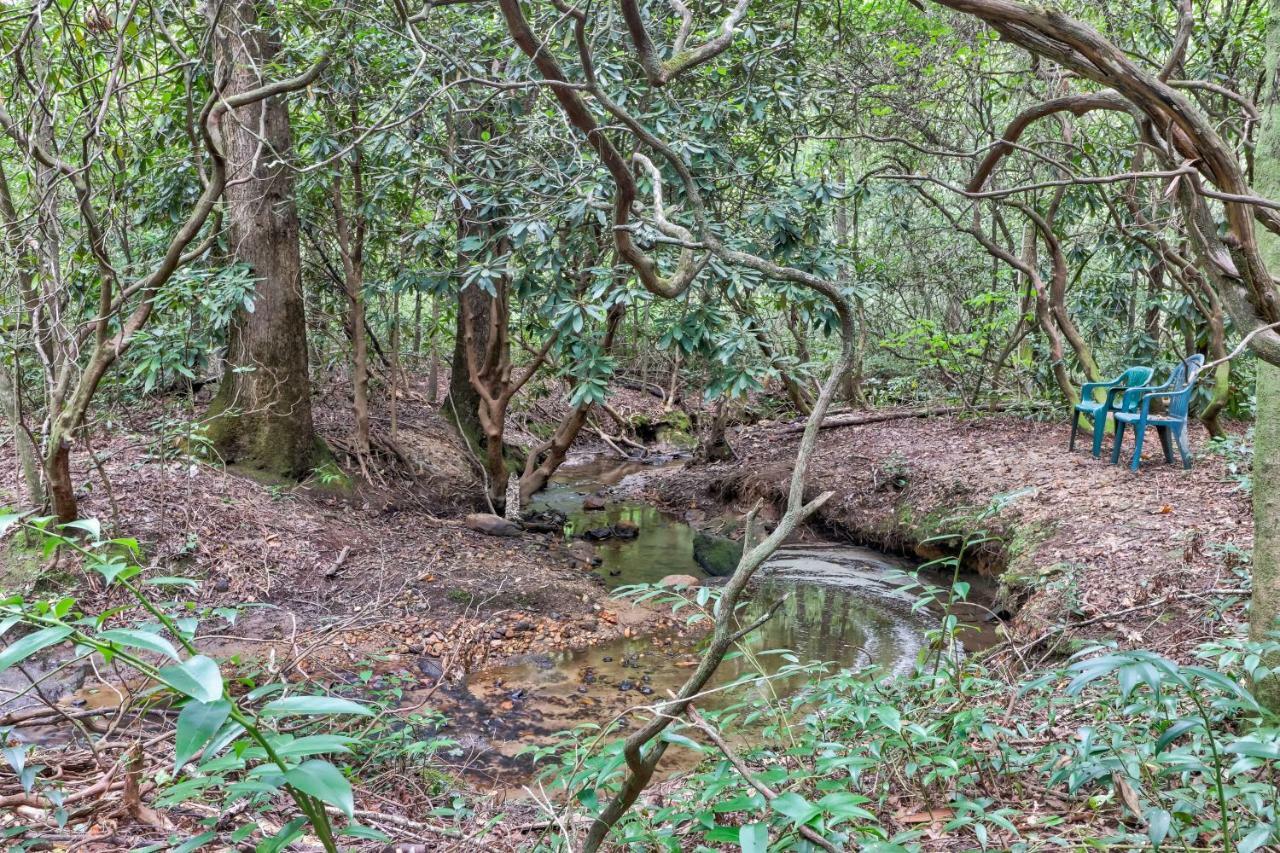 Four Cubs In The Creek Villa Sautee Nacoochee ภายนอก รูปภาพ