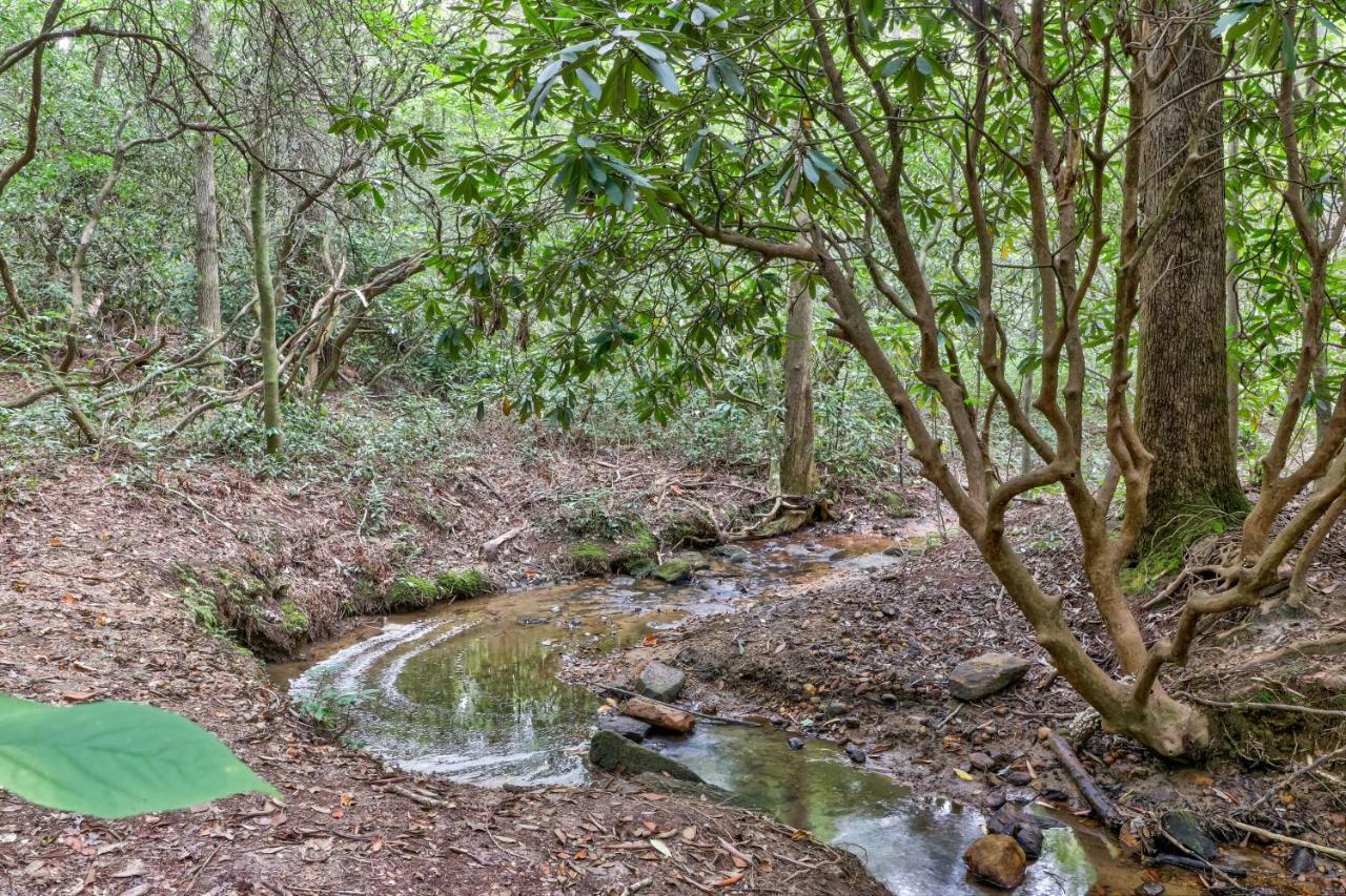 Four Cubs In The Creek Villa Sautee Nacoochee ภายนอก รูปภาพ